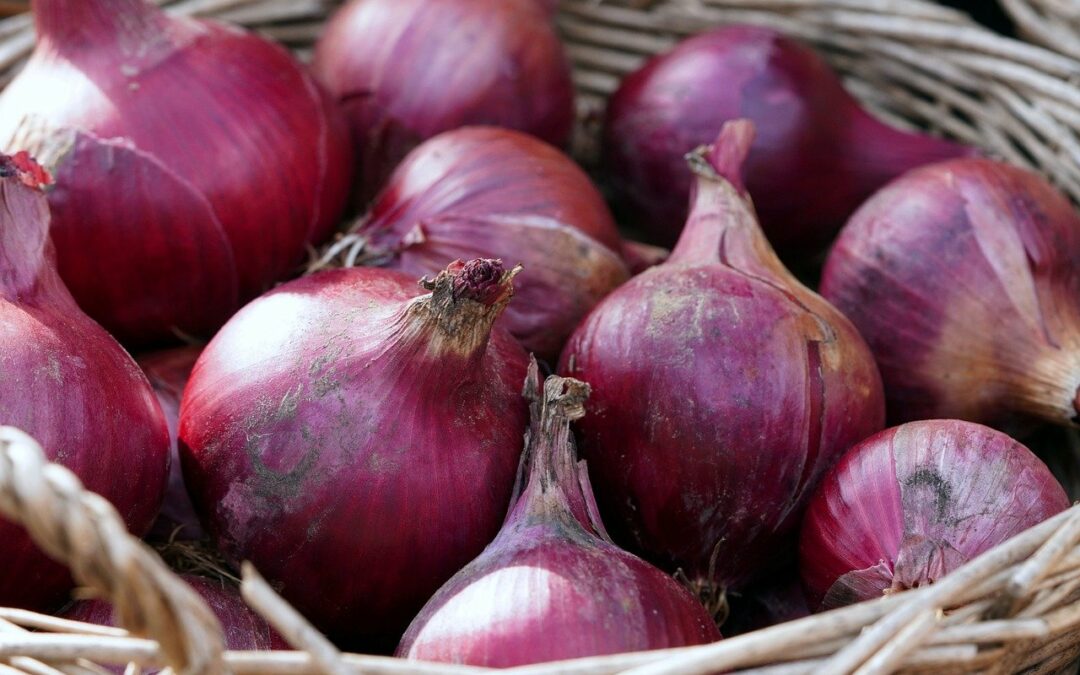 Zwiebeln (rot)