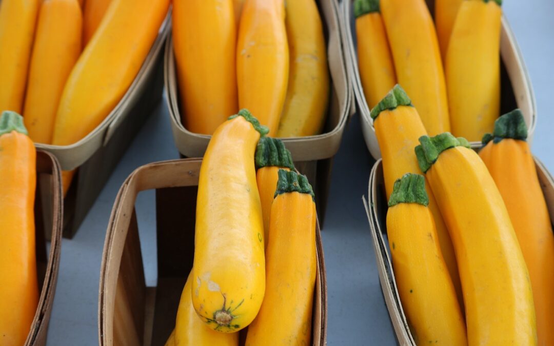 Zucchini (gelb)