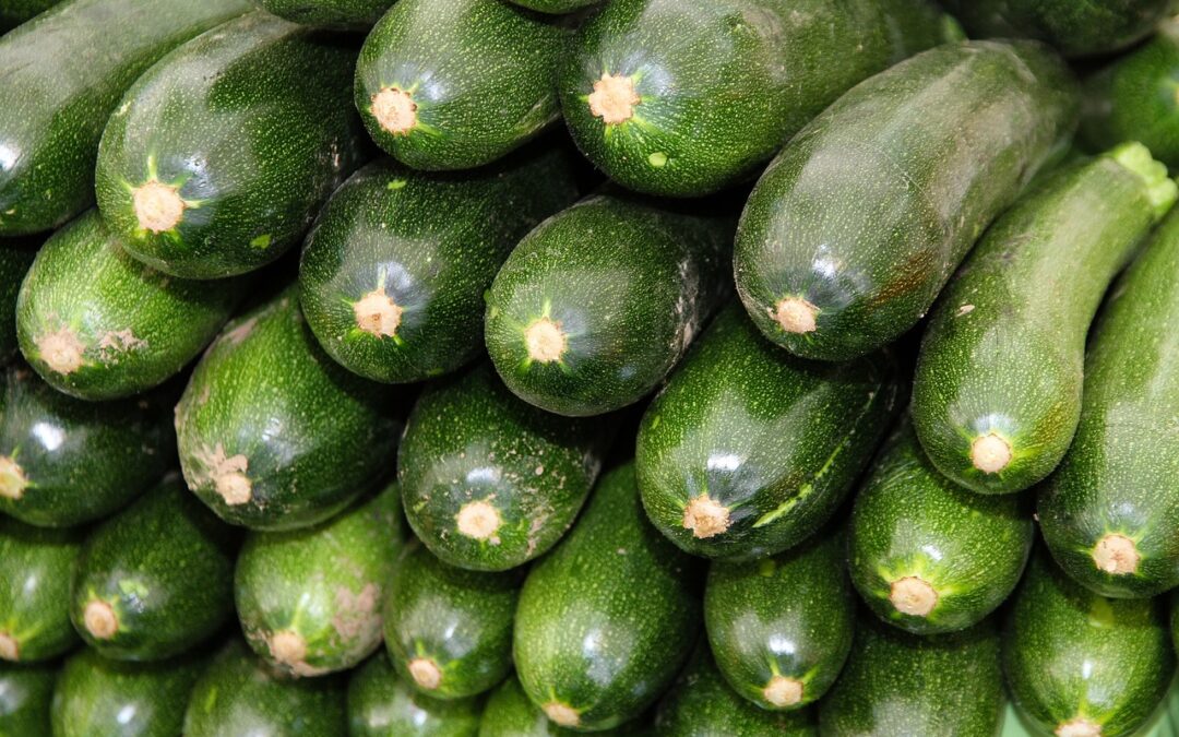 Zucchini (grün)